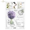 lawenda, kwiaty, zioła, rośliny*lavender, flowers, herbs, plants*Lavendel, Blumen, Kräuter, Pflanzen*lavanda, flores, hierbas, plantas